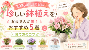 母の日に贈る珍しい鉢植え